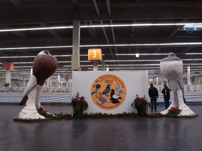 Blick in die Halle mit Formentauben